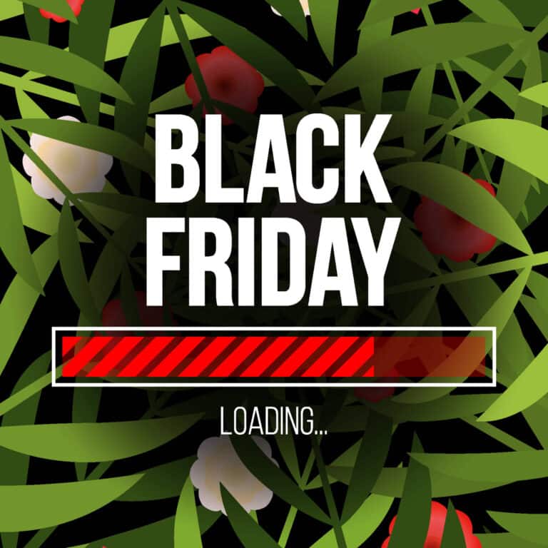 Black Friday